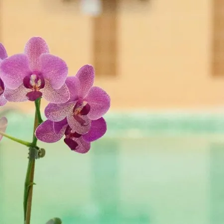 Bornemisza Kuria Wellness