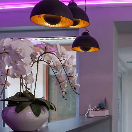 Bornemisza Kuria Wellness Tiszabecs